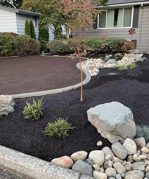Irrigation systems, concrete curbs, plant design, and landscape rocks with grass seed in Fircrest 